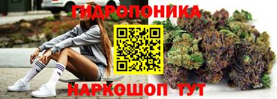 герыч Новодвинск