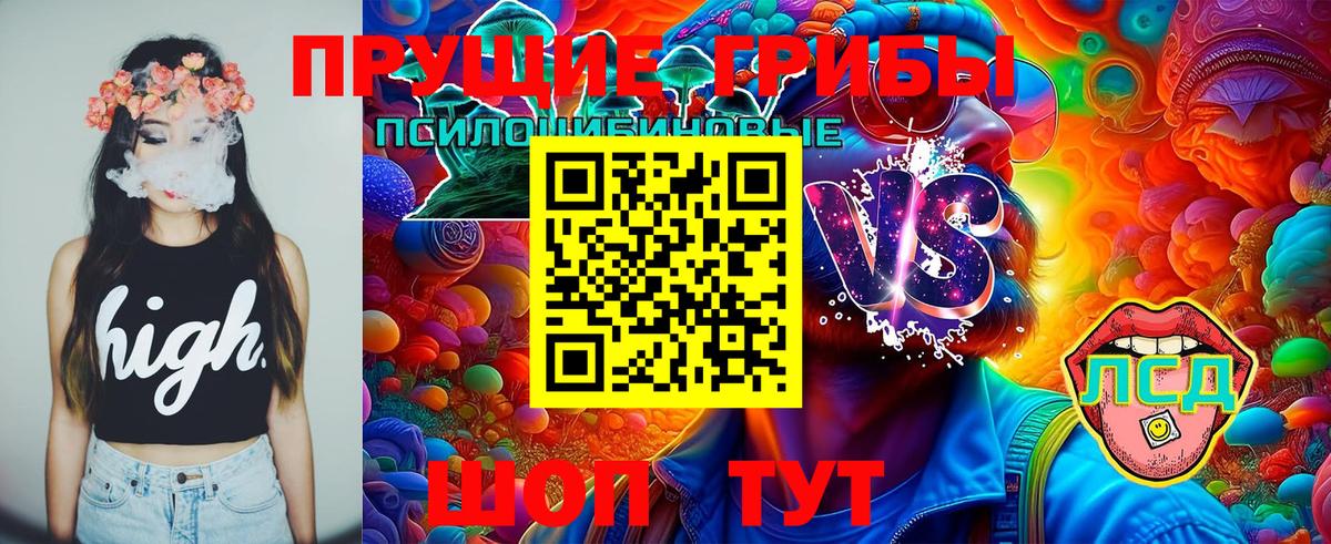 Ялта  Псилоцибиновые грибы мицелий  Вход с VPN  где купить наркоту  Галлюциногенные грибы Psilocybine cubensis 