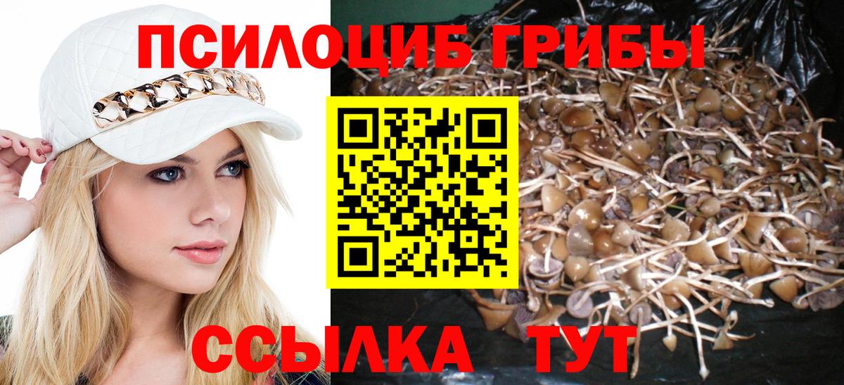 Галлюциногенные грибы MAGIC MUSHROOMS Ялта